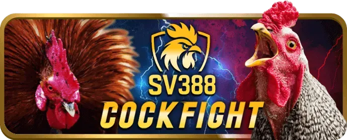 Trò chơi Live Casino với người chia bài trực tiếp